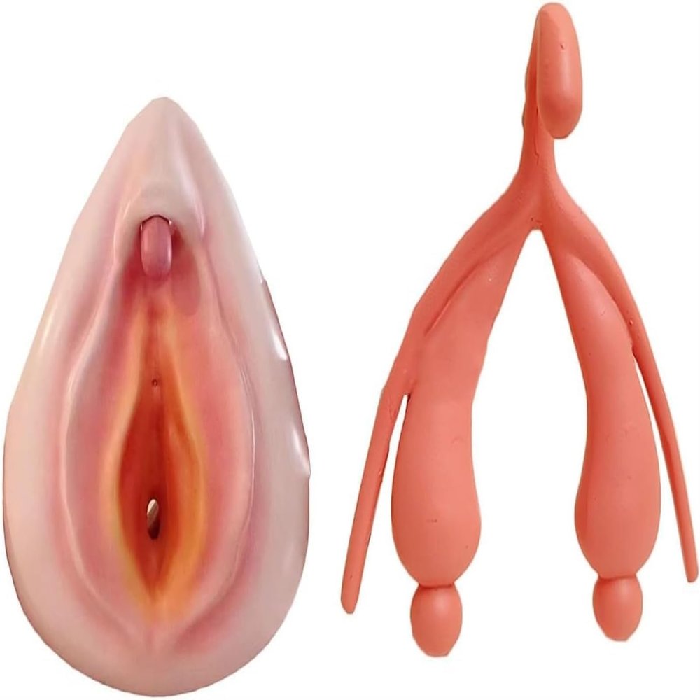 2 Pcs Female Gynecological Manikin Model, 2 Pcs Vulva/Clitoris Combination Model, Human Uterus Model, Life Size Human Uterus Model for Studying and Communication, Skin.