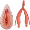 2 Pcs Female Gynecological Manikin Model, 2 Pcs Vulva/Clitoris Combination Model, Human Uterus Model, Life Size Human Uterus Model for Studying and Communication, Skin. view 1