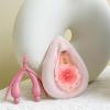 2 Pcs Female Gynecological Manikin Model, 2 Pcs Vulva/Clitoris Combination Model, Human Uterus Model, Life Size Human Uterus Model for Studying and Communication, Skin. view 3