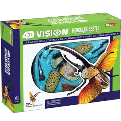 4D Vision Beetle Anatomy Model, Model Organ Model, Biological Insect Anatomical Teaching Model, Medical Research Demonstration for Teaching
