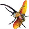 4D Vision Beetle Anatomy Model, Model Organ Model, Biological Insect Anatomical Teaching Model, Medical Research Demonstration for Teaching view 2