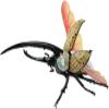 4D Vision Beetle Anatomy Model, Model Organ Model, Biological Insect Anatomical Teaching Model, Medical Research Demonstration for Teaching view 4