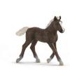 Schleich figure Schleich 17077 foal from the Black Forest view 1