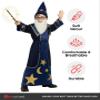 Morph Wizard Costume Kids, Boys Wizard Costume, Toddler Sorcerer Costumes, Boys Halloween Costume, S (4-6Y) view 4