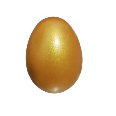yrlfiot Fashion Easter Eggs Wooden Eggs for Painting Children Play Kitchen Game Dyeable Nesting Egg Home Decor (Golden)