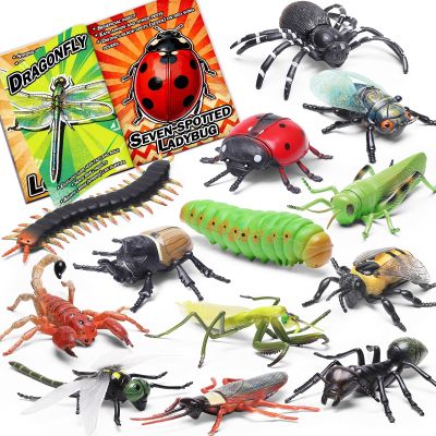 13 Pcs Realistic Insect Toys with Education Booklet and Gift Box, Fake Bugs for Kid, Plastic Bugs for Halloween, Party Decoration, Sensory Bin, Creepy Crawlers Toys for Toddler Boys Girls Age 3-5 5-7