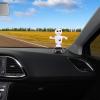 Halloween Car Dashboard Solar Powered Dancing Toys 5x7x11cm Skull Pumpkin Zombie Witch Car Shaking Head Dancer Doll Figurines Ghost Dancers Figurine for Halloween Party view 2