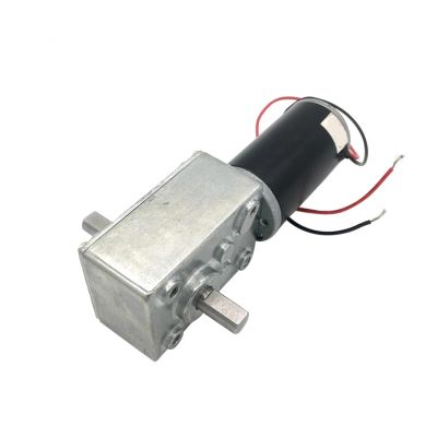 12V Double Shaft 24V DC Worm Motor High Torque Reducter Reversed Gearbox Engine Motor A58SW31ZYS 1Pcs(40RPM_12V)