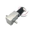 12V Double Shaft 24V DC Worm Motor High Torque Reducter Reversed Gearbox Engine Motor A58SW31ZYS 1Pcs(40RPM_12V) view 1