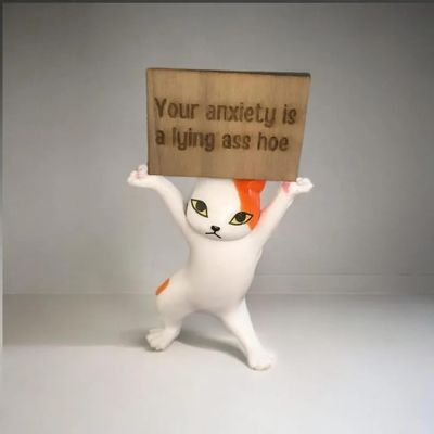 Anxiety-Busting Kitty,Your Anxiety is a Lying Ass Hoe, Cute Resin Cat for Office Home Decor, Funny Desk Accessories,Emotional Support Positive Cat (White & Orange)
