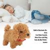 Diydeg Electronic Plush Puppy Dog Toy, Interactive Walking Barking Tail Wagging Cute Companion Animal with and Sounds for Kids Toddlers Age 3 and Up (Brown) view 3