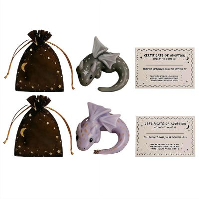 BEATIZ Dragon Adoption Kit, Mini Pocket Dragon Cute Resin Dragons for Calming Anxiety Relief, Adoption a Dragon for Friends Family