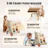 Baby Push Walker with Wheels for 6-12 Months Boys Girls, Walking Toys for 1 Year Old Learning to Walk view 2