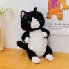 Karoeiwa Realistic Black Cat Plush 8.5 inch Small Size Cute Kitten Kitty Stuffed Animal Ultra Soft Plushies Toys Kawaii Gifts for Kids Adults view 4