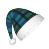 ZGHQHCDRH Blue And Green Scottish Tartan Print Christmas Hat For Kids Perfect For Family Photos, Xmas Party Decorations view 2