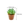 BRIGHTFUFU 24pcs Miniature Succulents Potted Plants Artificial Tiny Greenery Ornaments Lightweight Portable Fake Cactus for Dollhouse Crafts Office Desk Decoration view 2