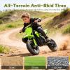 24V Kids Electric Dirt Bike,Motorcycle for Kids Up to 12mph, Electric Mini Bike with Shock Absorption, Off-Road Inflatable Tires and Music Player (Green) view 4