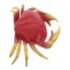 Abaodam Lifelike Artificial Crab Figure Plastic Ocean Animal Model for Home Decor and Photography Props Realistic Fake Crab Table Ornament for Beach-Themed Parties and Educational Play view 1