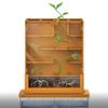 4M: Green Science - Grow-A-Maze - DIY Mini Plant Growth Lab, Customizable Maze, Assemble-Plant-Observe The Power of Nature, STEAM Project, Kids 5+ view 2