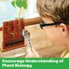 4M: Green Science - Grow-A-Maze - DIY Mini Plant Growth Lab, Customizable Maze, Assemble-Plant-Observe The Power of Nature, STEAM Project, Kids 5+ view 4