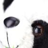 Alomejor Panda Stuffed Animal Toys Panda Bear Soft Stuffed Animals Cute Plushies Christmas Ornaments Meaningful Companionship Plush Toys for Kids view 3