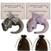 2X Support Dragon Adoption Kit, Emotional Support Dragon,Miniature Dragons Figurine, Fantasy Desk Decor, Stress Comfort & Calming, Cute Dragons Whimsical Gift for Halloween Xmas Desk Bookshelf Decor view 1
