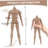 1/6 Scale Action Figure Multi Jointed Movable Male Muscular Action Figure Body Display Model for DIY Collectors and Artists for Collections, Medium view 3