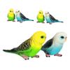 SUPVOX 6pcs Realistic Fake Parakeet Figurines Plastic Bird Parrot with Authentic Look for Educational Play Decorative Display and Creative Fun view 1