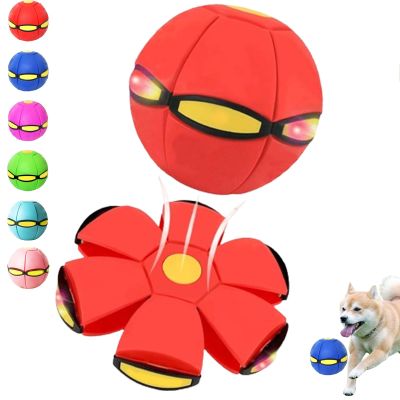Velexia Flying Dog Ball, Child's Bouncing Ball, Magic Flying Saucer, Bouncy Ball, Child Bouncing Balls, Magic Pop Up Balls, Suitable for Indoor & Outdoor Use