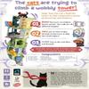 Cat and The Tower by Arcane Wonders | Cooperative Balance Board Game | Ages 6+ | 1-5 Players | 15-30 Minute Family Game with Tower Building view 2