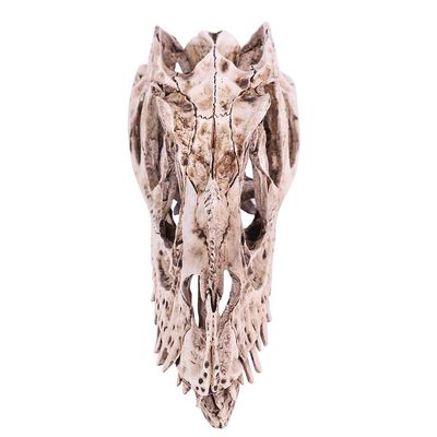 Keenso EcoFriendly Dinosaur Skull Model Lifelike Animal Skeleton Decor Craft for Living Room, Office Desk Display Teaching Prop for Dinosaur Enthusiasts
