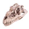 Keenso EcoFriendly Dinosaur Skull Model Lifelike Animal Skeleton Decor Craft for Living Room, Office Desk Display Teaching Prop for Dinosaur Enthusiasts view 3