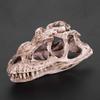 Keenso EcoFriendly Dinosaur Skull Model Lifelike Animal Skeleton Decor Craft for Living Room, Office Desk Display Teaching Prop for Dinosaur Enthusiasts view 4