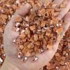 100pcs Miniature Capybaras Figurines For Garden Dollhouses Landscape Decoration Handicraft Making Ornaments Nails Charms Dolhouses Charms view 4