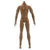 1/6 Scale Action Figure, Multi Jointed Movable Male Muscular Action Figure Body for Display Doll Collection, Brown. view 1