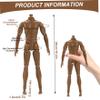 1/6 Scale Action Figure, Multi Jointed Movable Male Muscular Action Figure Body for Display Doll Collection, Brown. view 2