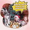 72 Pcs Dog Party Favors Include 24 Mini Stuffed Dog Animals Toys Plush Dog Animals and 24 Foldable Boxes 24 Birthday Hats for Adopt a Dog Party Favors Animal Party Goodie Bag Fillers (Dog Style 2) view 4