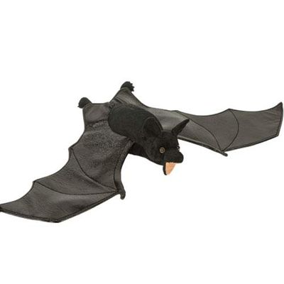 25 Black Bat