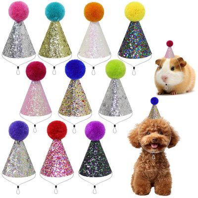 10 Pcs Colorful Mini Party Hats for Stuffed Animals, Birthday Party Felt Cone Hat for Cat Dolls Dog Rabbit Puppies Birthday Party Decorations (10 Pcs)