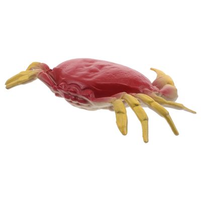 Abaodam Realistic Artificial Crab Plastic Ocean Animal Figurine for Early Learning Educational Biology Exploration Interactive Sea Creature Model for Classroom and Play