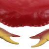 Abaodam Realistic Artificial Crab Plastic Ocean Animal Figurine for Early Learning Educational Biology Exploration Interactive Sea Creature Model for Classroom and Play view 3