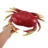 Abaodam Realistic Artificial Crab Plastic Ocean Animal Figurine for Early Learning Educational Biology Exploration Interactive Sea Creature Model for Classroom and Play view 4