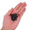 BRIGHTFUFU 100pcs Mini Black Dice with Clear Dots for Tabletop Games Craft Projects Party Use Tiny Game Dice and Math Learning view 4