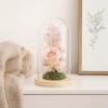 5.9 X 11.8 in / 15 X 30 Cm Glass Display Dome for Items and Flowers, Collectibles Decorative, High Borosilicate Glass, Transparent Protective Dome with Wooden Base view 3