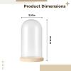 5.9 X 11.8 in / 15 X 30 Cm Glass Display Dome for Items and Flowers, Collectibles Decorative, High Borosilicate Glass, Transparent Protective Dome with Wooden Base view 4