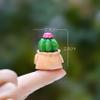 6 Pcs Mini Resin Cactus Figurines  Cute 3D Miniature Cacti in Personalized Flower Pots for Dollhouse, Fairy Garden, Bonsai Display, Car, Home, Office, Desktop Decoration, Collectible Ornaments view 4
