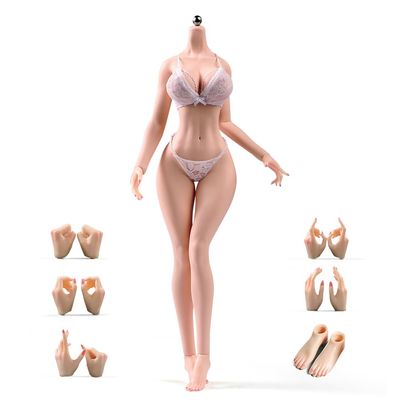 1/6 Scale Female Body,12inch Plump Girl Body Super Flexible Seamless Figure Large Bust Body with Detachable Feet Collection (Normal Skin, Normal Version)