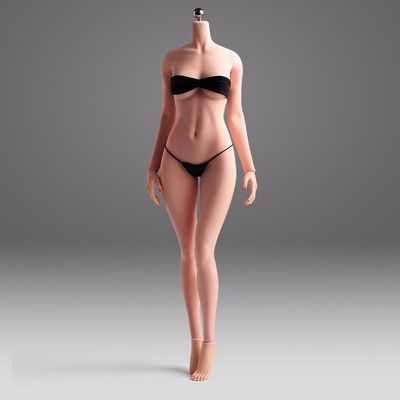 1/6 Scale Female Body,12inch Natural Beauty Body Super Flexible Seamless Figure Large Bust Body with Detachable Feet Collection (Pale Skin, Makeup Vrersion)