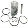 #US Spare Part for ATC200E Big Red, 1982-1983, .040 Piston Kit - ATC 200E view 1
