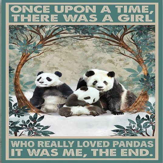 1000 Piece Funny Panda Jigsaw Puzzle - Once Upon A Time There was A Girl Who Really Loved Pandas Design for Adults, Families,Chic Art Decor, Ideal